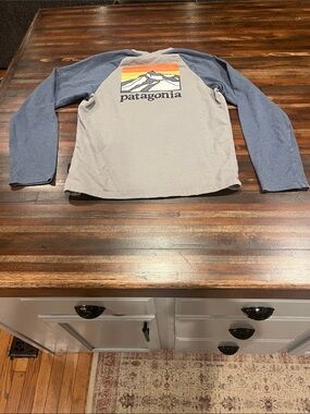 Patagonia Long Sleeve Raglan Tee - Light Gray Body with Blue Sleeves